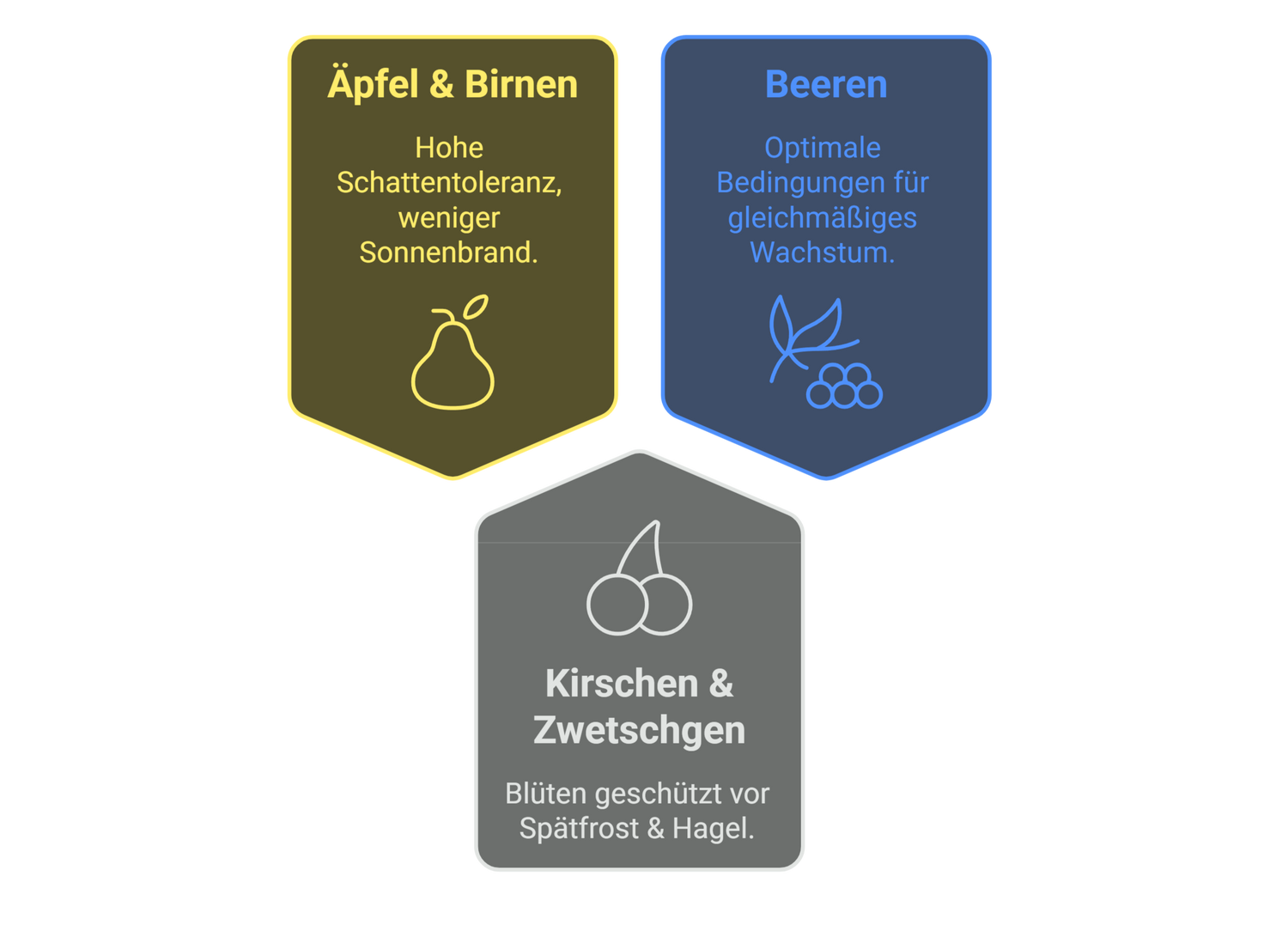 Grafik Obstarten die von Agri-PV im Obstanbau profitieren: Äpfel und Birnen, Beeren, Kirschen & Zwetschgen