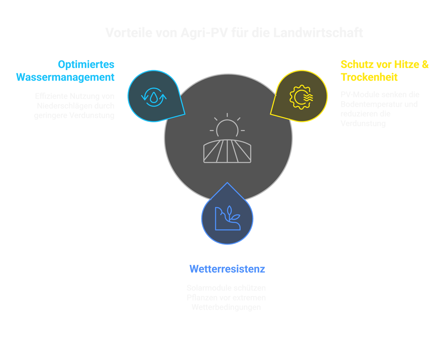 Grafik zu Vorteilen von Agri PV für die Landwirtschaft: Optimiertes Wassermanagement, Schutz vor Hitze & Trockenheit, Wetterresistenz