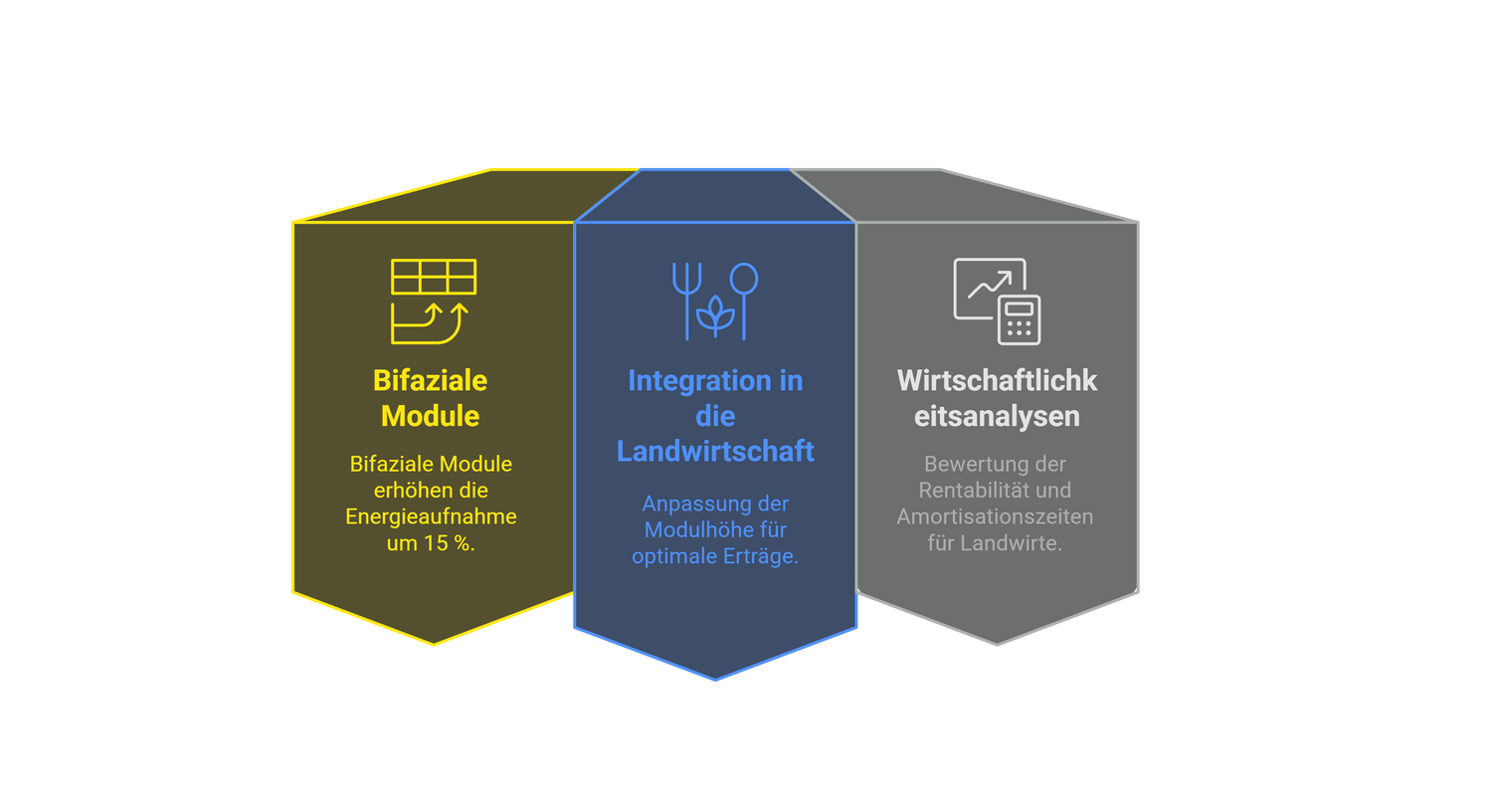 Grafik zu Forschungsschwerpunkten der Studie des Fraunhofer Instituts: Bifarziale Module, Integration in die Landwirtschaft, Wirtschaftlickeitsanalysen