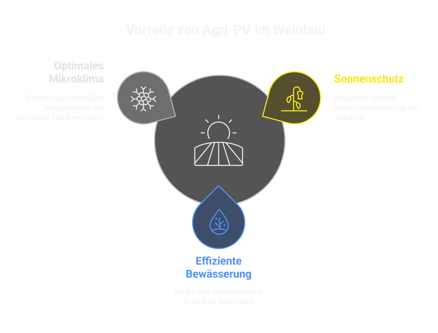 Grafik zu Vorteile Agri-PV im Weinbau