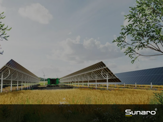 Agri-PV: Systemarten und Modultypen – Ein Überblick