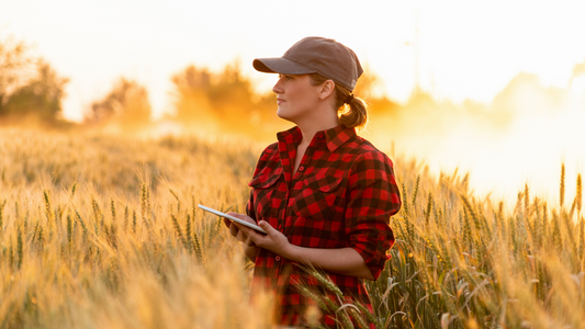 Agri-PV Herausforderungen: Hürden und Anforderungen für Photovoltaik in der Landwirtschaft