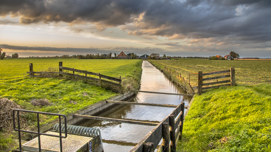 Agri-PV und Wassermanagement: Wie Solarstrom die Bewässerung optimiert