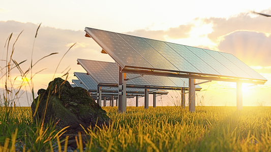 Solarmodule auf einem sonnigen Feld bei Sonnenaufgang mit Gras im Vordergrund und einem Stein als dekoratives Element.