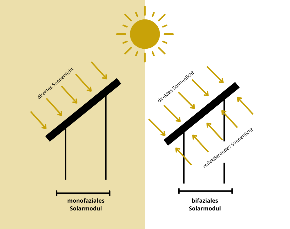 Vergleich von monofazialen und bifazialen Solarmodulen: Monofaziales Modul mit direkter Lichtaufnahme, bifaziales Modul mit direkter und reflektierter Lichtaufnahme.