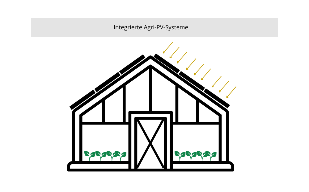 Grafik eines integrierten Agri-PV-Systems in einem Gewächshaus mit Solarzellen auf dem Dach.