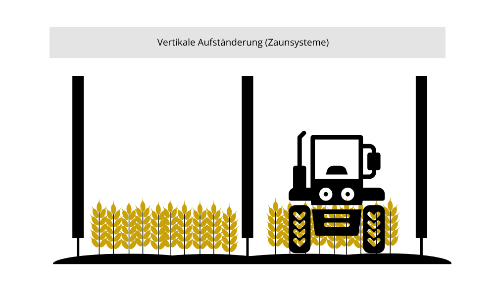 Illustration von vertikalen Agri-PV-Systemen (Zaunsystemen) mit Traktordurchfahrt und Getreideanbau.